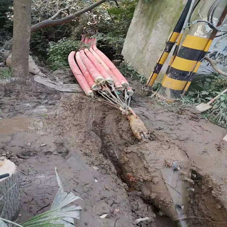 天水武汉焊接涂装线拖拉管